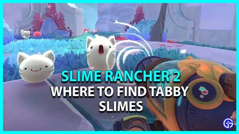 Where To Find Tabby Slimes In Slime Rancher 2 Gamer Tweak