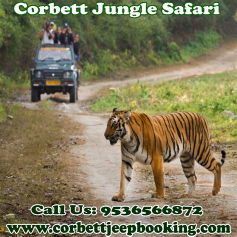 Corbett Jungle Safari Corbett Jeep Booking Medium