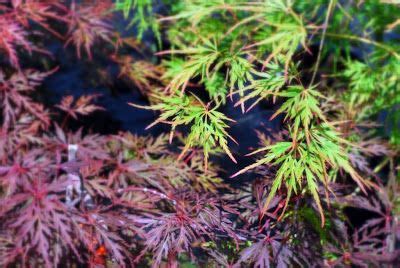 Hidden Treasure Tuesdays | Hidden treasures, Treasures, Hide