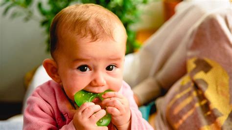 Bebeklerde Diş Çıkarma Süreci ve Rahatlama Yöntemleri Elika Bebek