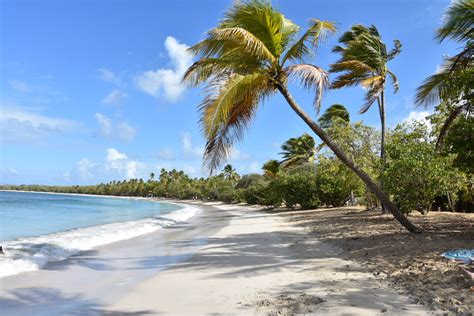 La Magnifique Plage Des Salines En Martinique Bouge Ta Tribu