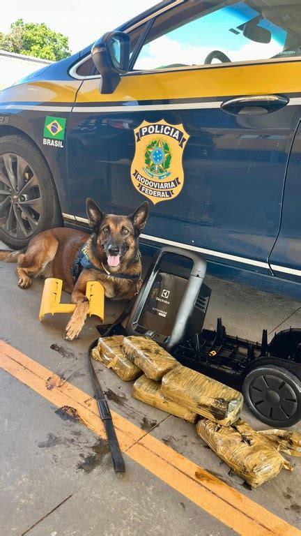 Em Cuiabá Mt Cães Farejadores Localizam Cocaína Escondida Em Lavadora