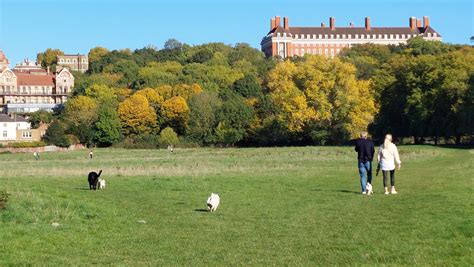 Richmond From Petersham Meadows Ilona Flickr