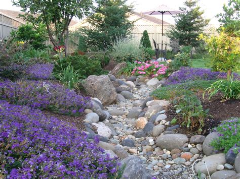 Beautiful Dry Creek Bed With Low Water Plants Designed By Simple