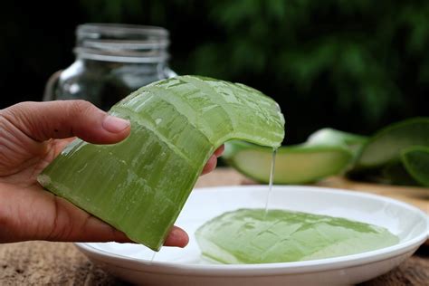 Cómo reducir las estrías con aloe vera Eres Mamá