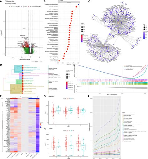 Frontiers Integrated Single Cell And Bulk RNA Seq Analysis Revealed