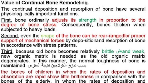 Bone remodeling Deposition of Bone by the Osteoblasts