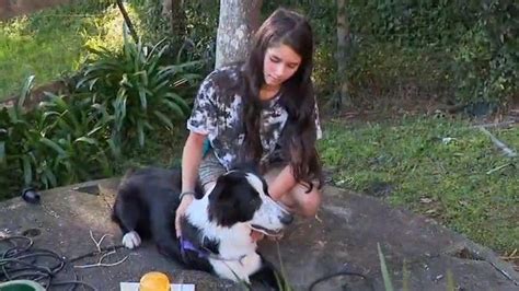 Un Cane E Una Ragazza Salvano Un Uomo Rimasto Bloccato A Testa In Gi