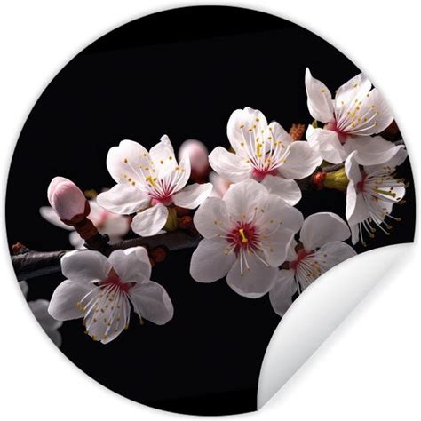 Wallcircle Muurstickers Behangcirkel Sakura Bloemen Bloesem