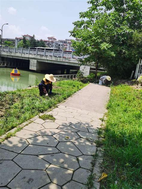 大家来“找茬” 古荡街道探索线下共治模式——浙江在线