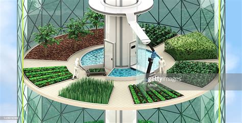 Vertical Farming Crops High-Res Vector Graphic - Getty Images