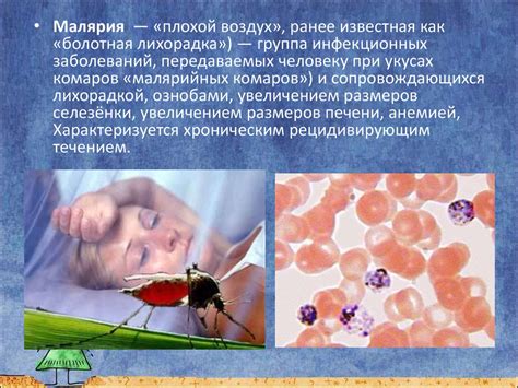 Инфекционные болезни - презентация онлайн