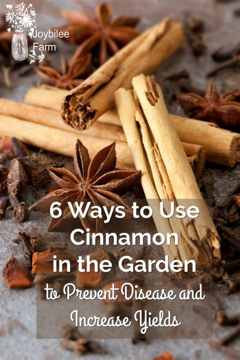 6 Ways To Use Cinnamon In The Garden To Prevent Disease