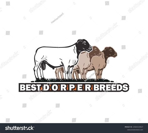 White Dorper Sheep: Over 24 Royalty-Free Licensable Stock Illustrations & Drawings | Shutterstock