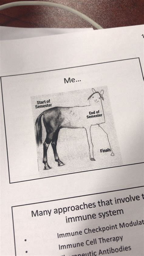 Horse Drawing Got Meme Most of our tutorials have 6 steps but this one ...