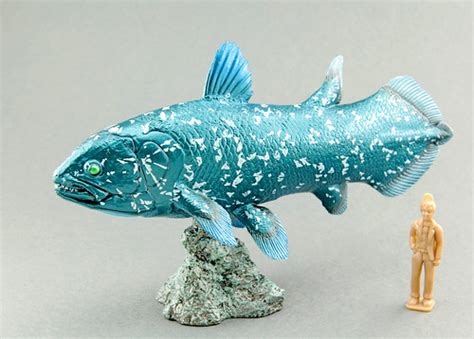 Coelacanth Ancient Fish Softmodel Favorite Robingoodfellowm