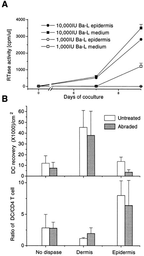 Virus dose for infection and phenotype of emigrant cells from skin ...