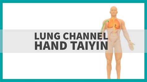 Tcm Anatomy Lung Channel Of Hand Taiyin Youtube