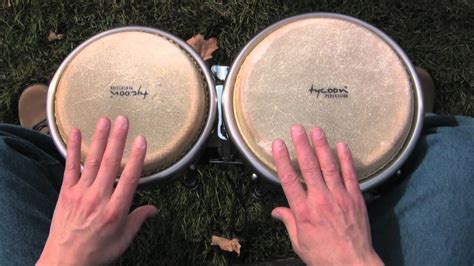 Bongos Instrument