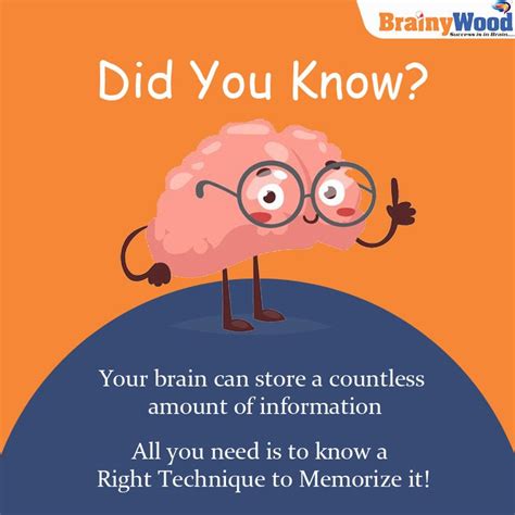 Memory Fun Facts | How to memorize things, Fun facts, Brain facts