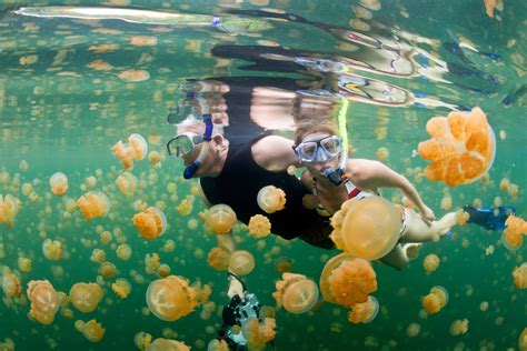 palau snorkeling kayaking  rock islands jellyfish lake