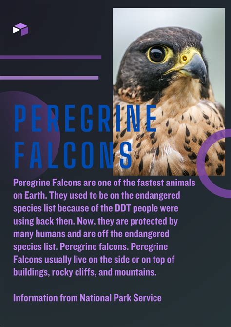 Falcon Cam Educational Resources | Virginia DWR