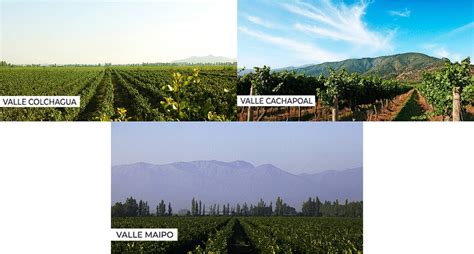 Удивительный Tocornal Sauvignon Blanc 2021 от Сono Sur. Вино из Чили ...