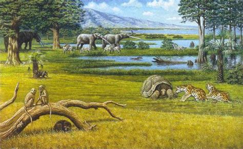 Pliocene Climate