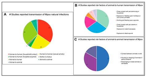 Microorganisms Free Full Text Overview Of Diagnostic Methods