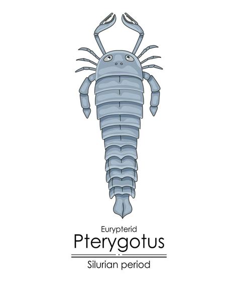 Pterygotus A Silurian Period Sea Scorpion 39316570 Vector Art At Vecteezy