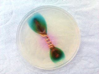 Galvanic Corrosion between Copper (Cathode) and Iron (Anode)