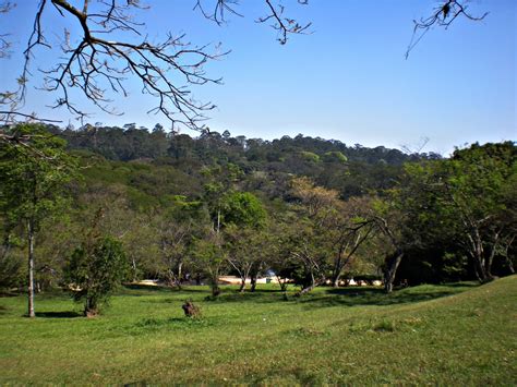 AlcBlog Passeio pelo Parque do Carmo Zona Leste da cidade de São