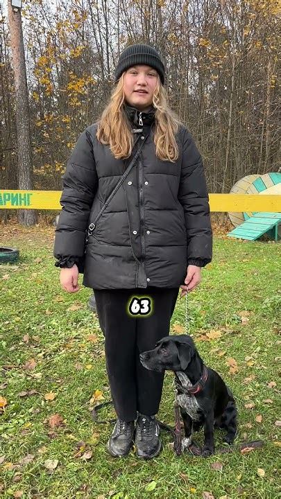 Тренировки собак в Фаринг Фанг - YouTube