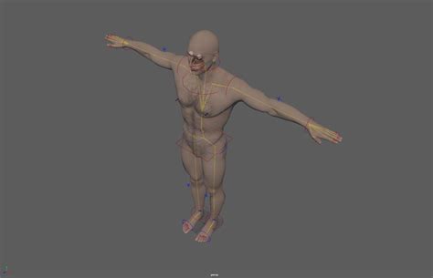Bill Nude Man 3D Model 249 Ma Fbx Obj Free3D