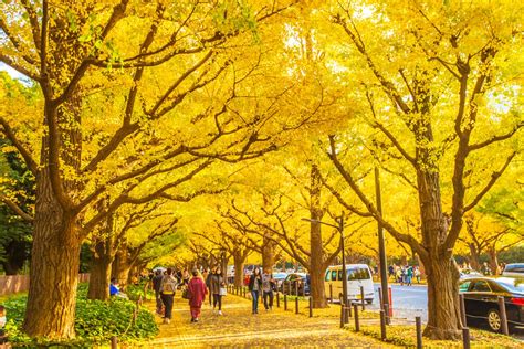 【日本の絶景クイズ】美しい紅葉が彩る原風景を見られるのはどの都道府県？ All About ニュース