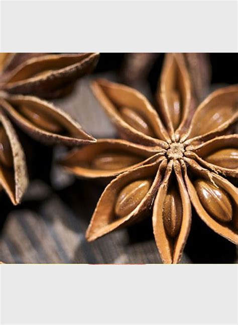 Star Anise Illicium Verum Whole Rare Herbs And Spices From Etsy