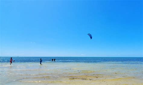 What Does Purple Flag At The Beach Mean Is It Closed Under A Purple