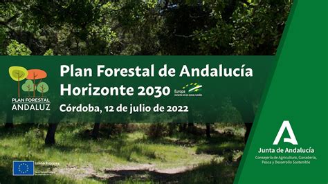 Jornada De Plan Forestal De Andaluc A Horizonte Youtube