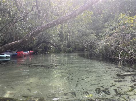 21 Best Kayaking Springs In Florida To Visit