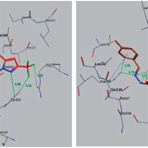 Binding Mode Of Co Crystallized Inhibitor Upper Panel Compounds 9