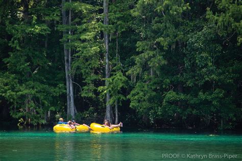 Rainbow Springs State Park Is The Fourth Largest Spring Formation In Florida Sarasota Magazine