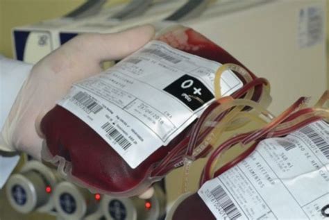 Doação de sangue abre na véspera de São João das 7h às 12h