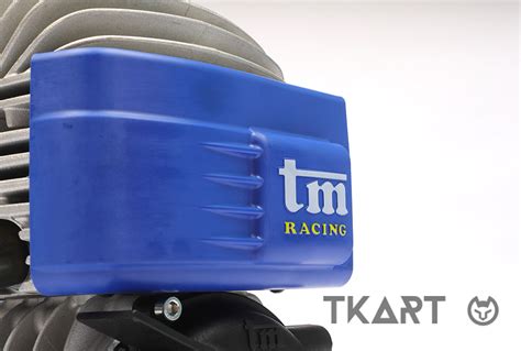 MINI 2 Il Motore 60 Cc Per Kart Di TM Racing Omologato CIK FIA Nel