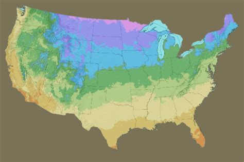 Discover USDA Hardiness Zones for Successful Gardening - Baxter Gardens