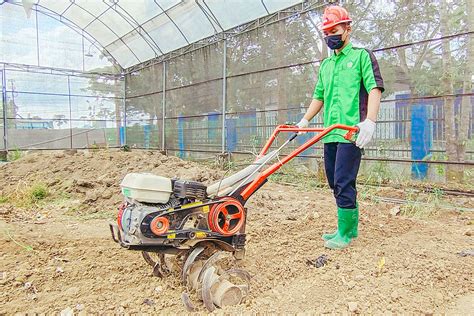 Agribisnis Tanaman Pangan Dan Holtikultura