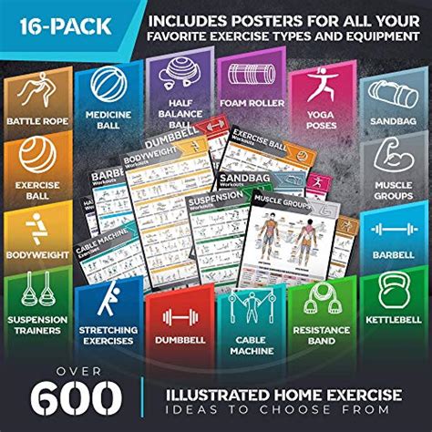 Pack Laminated Large Workout Poster Set Perfect Workout Posters