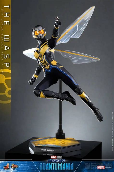 Hot Toys The Wasp Chao