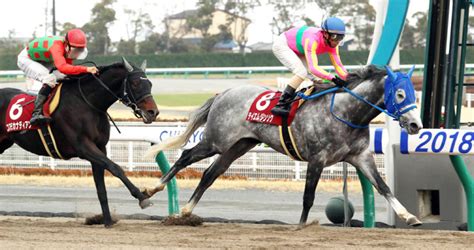 【東海s】テイエムジンソクが逃げ切って重賞2勝目 フェブラリーsへ弾み！ スポーツ報知