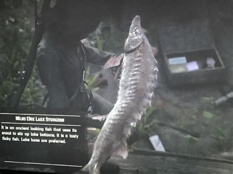 You sir are a fish : r/RedDeadFisherman