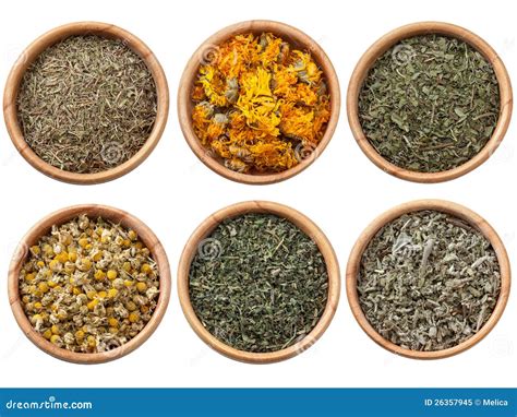 Assorted Dry Herbs And Spices Stock Image Image Of Green Gastronomy